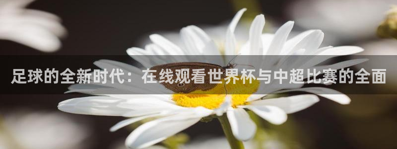 jrkan2023免费体育直播：足球的全新时代：在线观看世界杯与中超比赛的全面