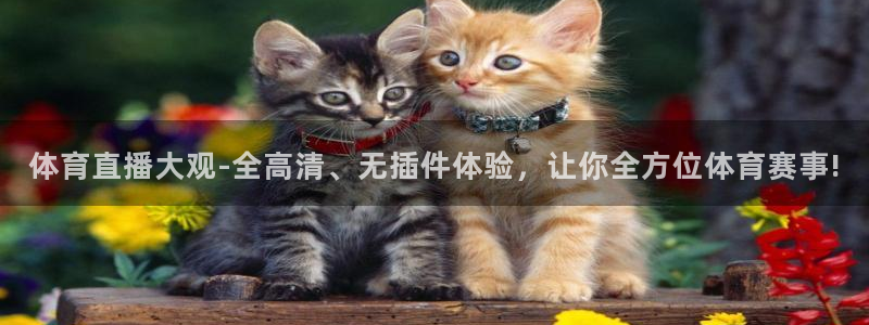 jrkan直播免费体育直播：体育直播大观-全高清、无插件体验，让你全方位体育赛事!