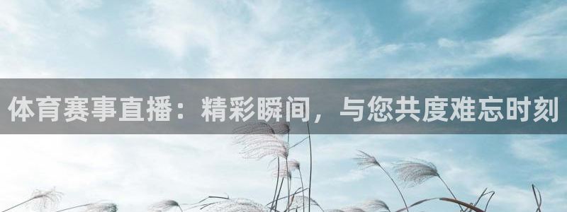 jr看直播nba：体育赛事直播：精彩瞬间，与您共度难忘时刻