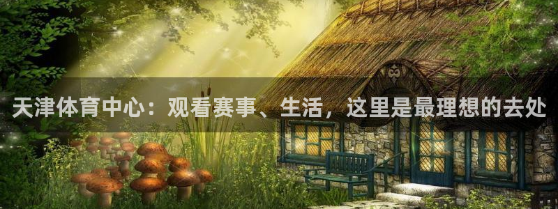 jrkan nba直播：天津体育中心：观看赛事、生活，这里是最理想的去处